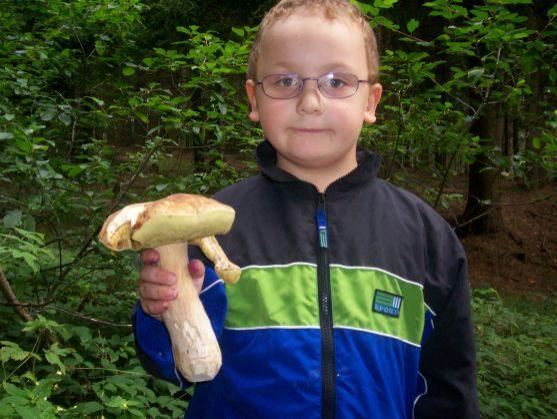 Houbová krása z lesů Broumovska