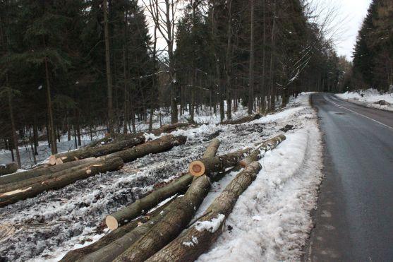 Práce na přípravě rozšíření silnice z Broumova do Police nad Metují přes Pasa začaly 