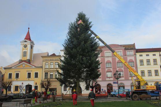 Broumovský vánoční strom je z Šonova