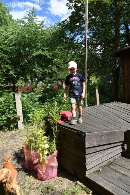 Rodiče dětí kuli na internetu pikle. Pak zasadili nový živý plot 