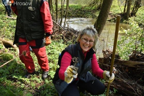 Lotři zachraňovali velryby 