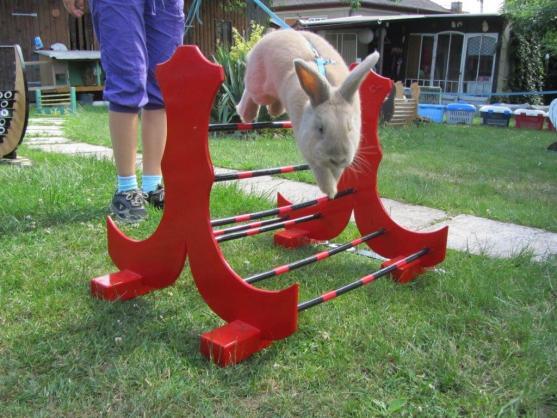 Hopáci z Broumova slaví úspěchy 