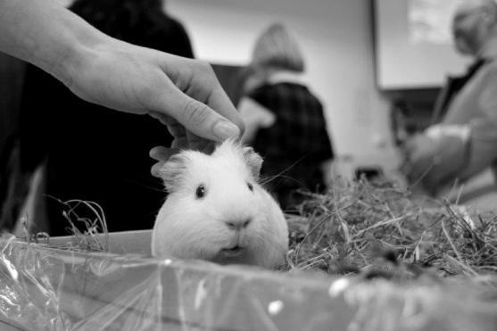 Hitem letošního dne otevřených dveří na broumovském gymnáziu bylo slaňování 