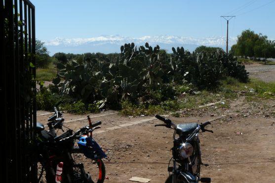 Sedm dní v Maroku. Cyklistické dobrodružství Kryštofa Meiera II. 