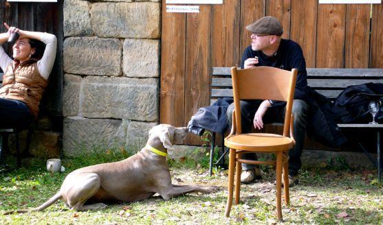 Drajborna sobě neměla chybu: slunce svítilo na umění, lidé se skvěle bavili 