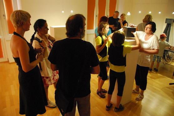 Pavel Frydrych: "Tahle výstava je to nejlepší, co kdy na Terase bylo." 