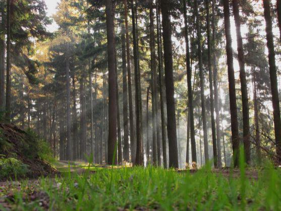 Fotoreportáž: Vzpomínka na barevný podzim