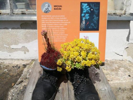 Broumovská zahradní slavnost 