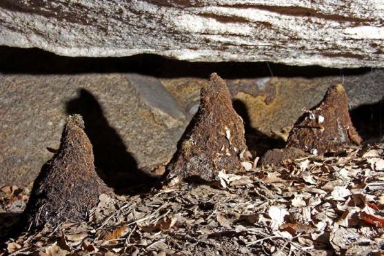 Globální geoparky dostaly značku UNESCO. Broumovsko je na cestě k získání statutu národního geoparku