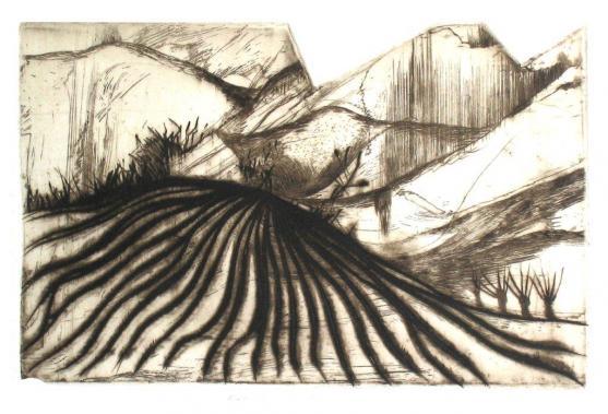 Muzeum papírových modelů připravilo výstavu dvou vynikajících grafiků, kteří se tady představují na výstavě s lakonickým názvem Grafika