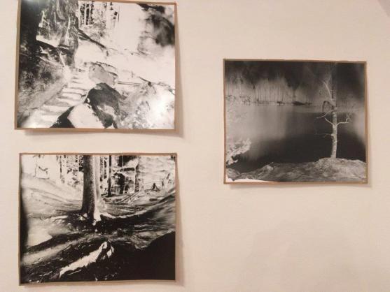 V broumovském klášteře byla zahájena výstava fotografií