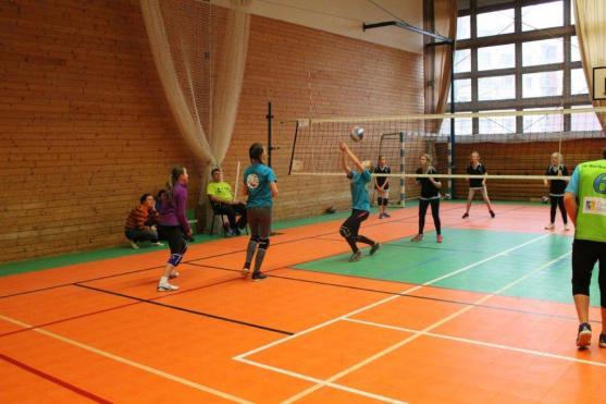 Broumovský tým "modrého" volejbalu uhrál zatím nejlepší umístění