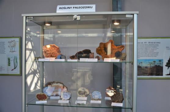 Výstava zkamenělých dřev AlekSandry Niemirowské