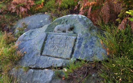 Horský výstup na Broumovské stěny