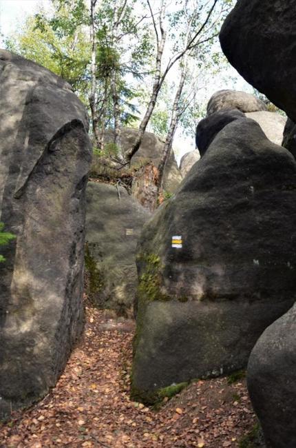 Z Bělého skalami na Junáckou vyhlídku