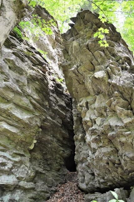 Z Janovic cestou dalekých výhledů po vnitřní kuestě Polické pánve