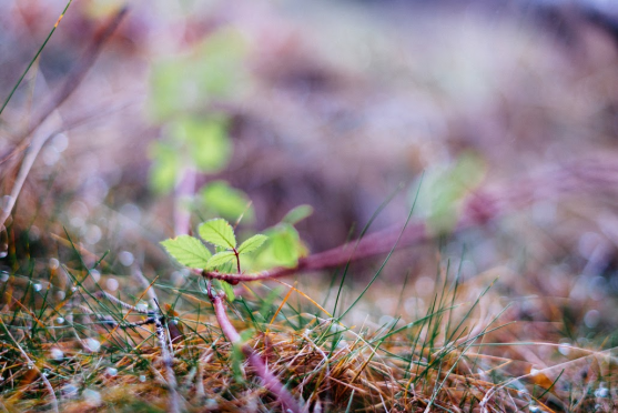 Tvář a vous absolventa broumovského gymnázia dominují článku v MF Dnes