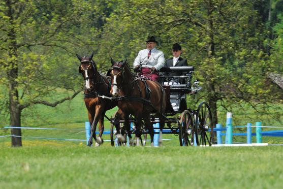 Jiří Nesvačil se stal vítězem v kategorii dvojspřeží při mezinárodních závodech koňských spřežení v Polici nad Metují