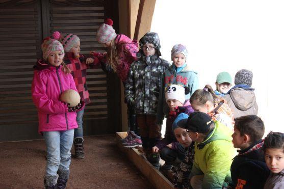 V broumovském klášterním kuželníku už se opět koulí