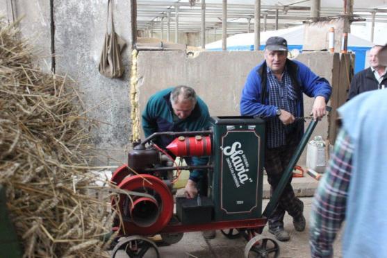 V Martínkovicích se mlátilo obilí postaru