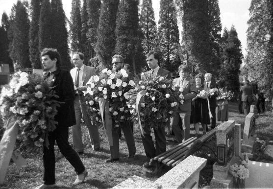 Reakce Stanislava Pitaše na film o Pavlu Wonkovi