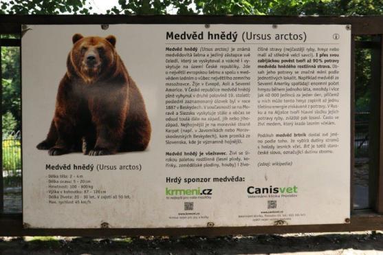 Ludvík a Dáša se musí hýbat - náchodským medvědům se změnilo krmení