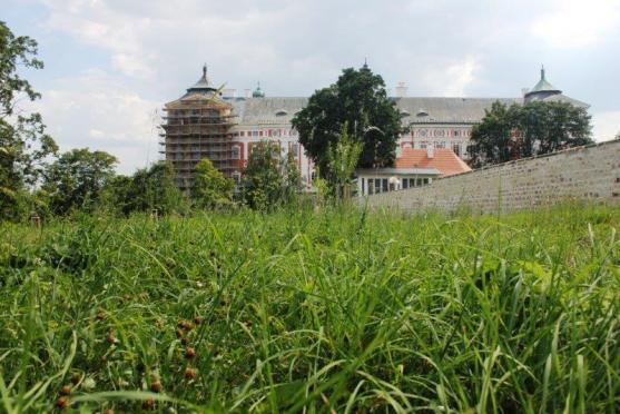 Severní stěna broumovského kláštera dostane novou fasádu