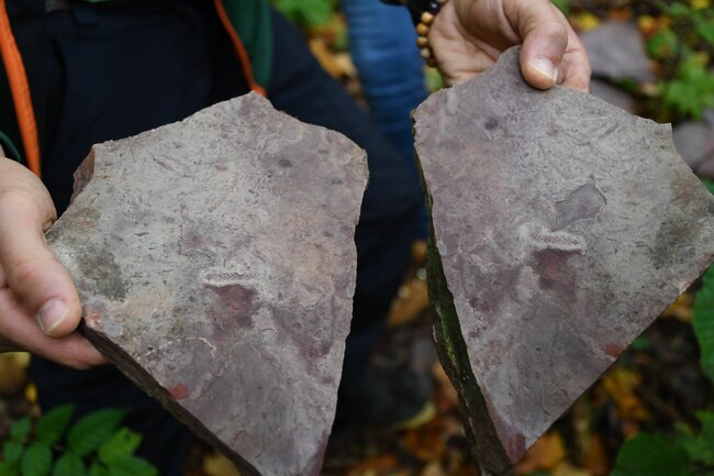 Každou druhou sobotu v měsíci na výpravu za poznáním s geologem