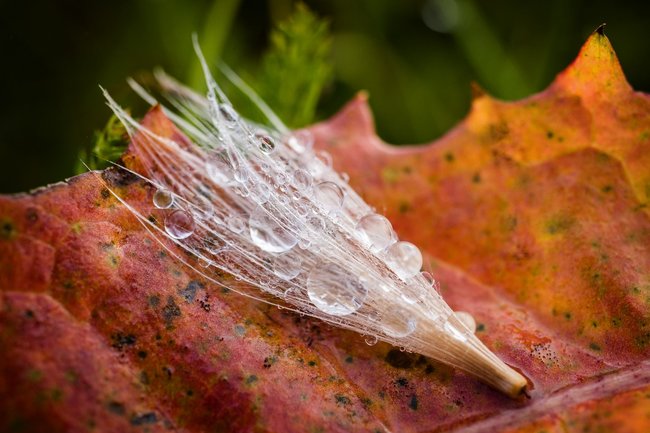 Když jde fotografie ze srdce
