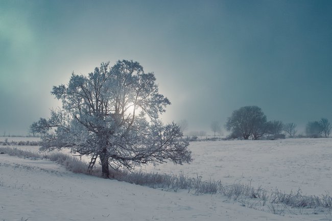 Když jde fotografie ze srdce
