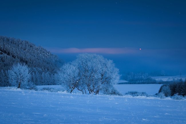 Když jde fotografie ze srdce