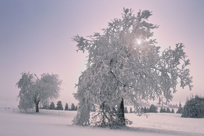 Když jde fotografie ze srdce