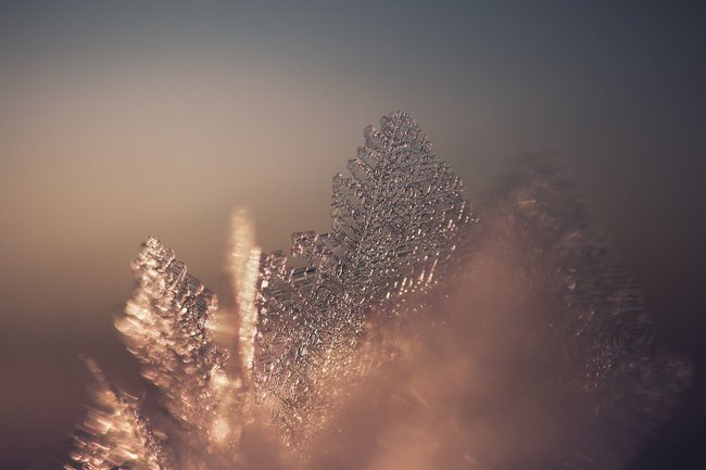 Když jde fotografie ze srdce