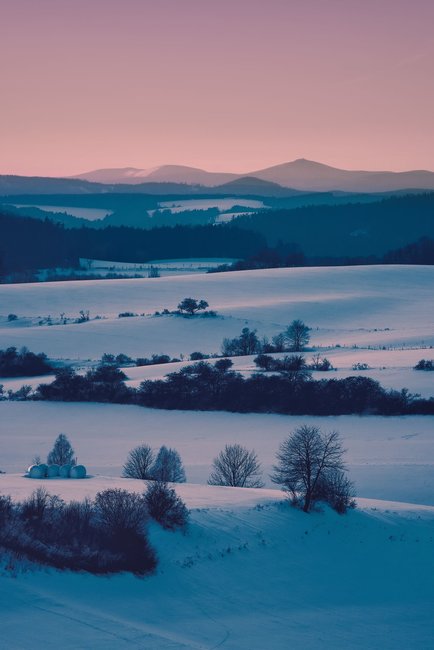 Když jde fotografie ze srdce