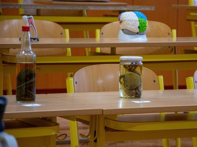 Tradičně netradiční Den otevřených dveří Gymnázia Broumov