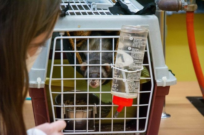 Tradičně netradiční Den otevřených dveří Gymnázia Broumov