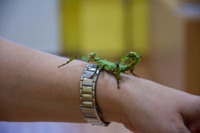 Tradičně netradiční Den otevřených dveří Gymnázia Broumov