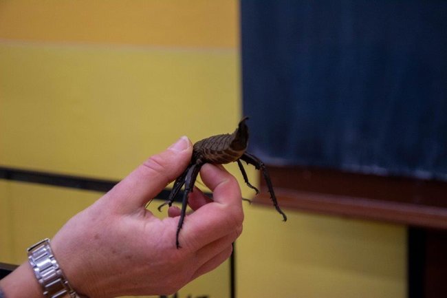 Tradičně netradiční Den otevřených dveří Gymnázia Broumov