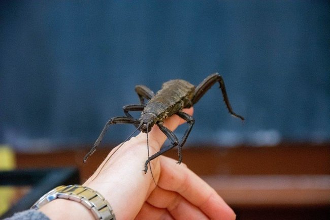 Tradičně netradiční Den otevřených dveří Gymnázia Broumov