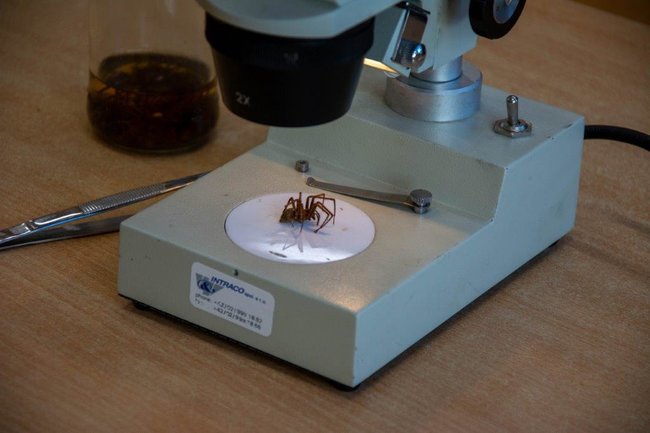 Tradičně netradiční Den otevřených dveří Gymnázia Broumov