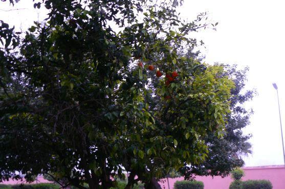 Sedm dní v Maroku. Cyklistické dobrodružství Kryštofa Meiera I. 