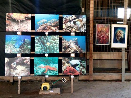 Drajborna sobě neměla chybu: slunce svítilo na umění, lidé se skvěle bavili 