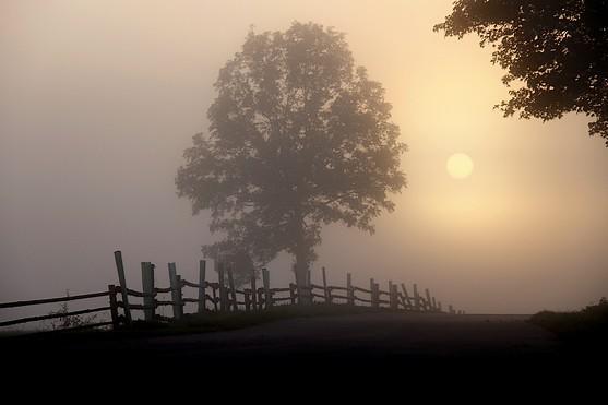 Broumovsko na fotografiích Dagmary Dušánkové