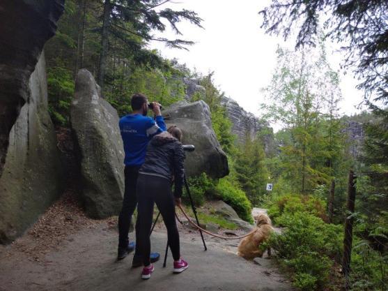 Sokoli na Ostaši těsně před vylétnutím z hnízda, na Frýdlantskou vyhlídku zkratkou! 