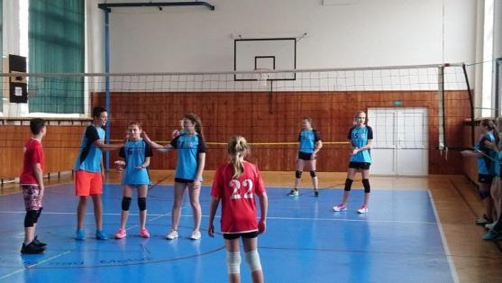 Volejbalisti mají stále co na práci