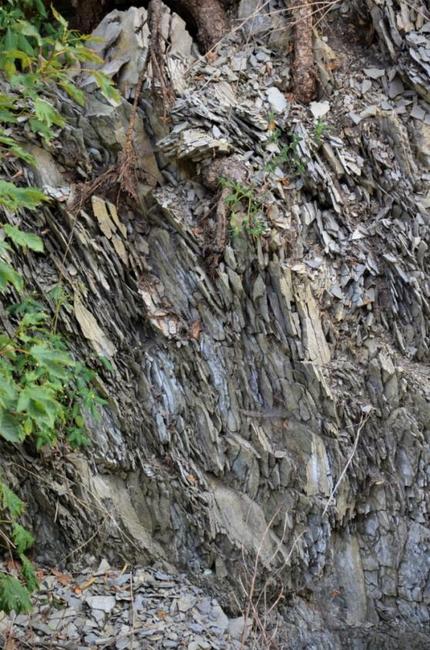 Od pramene k prameni kolem vody Metuje