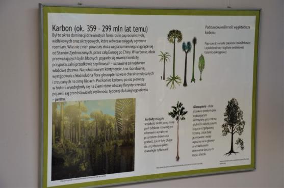 Výstava zkamenělých dřev AlekSandry Niemirowské