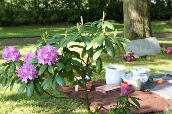 Férová snídaně v Polici nad Metují