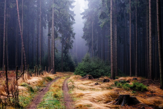 Tvář a vous absolventa broumovského gymnázia dominují článku v MF Dnes