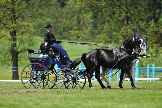 Jiří Nesvačil se stal vítězem v kategorii dvojspřeží při mezinárodních závodech koňských spřežení v Polici nad Metují